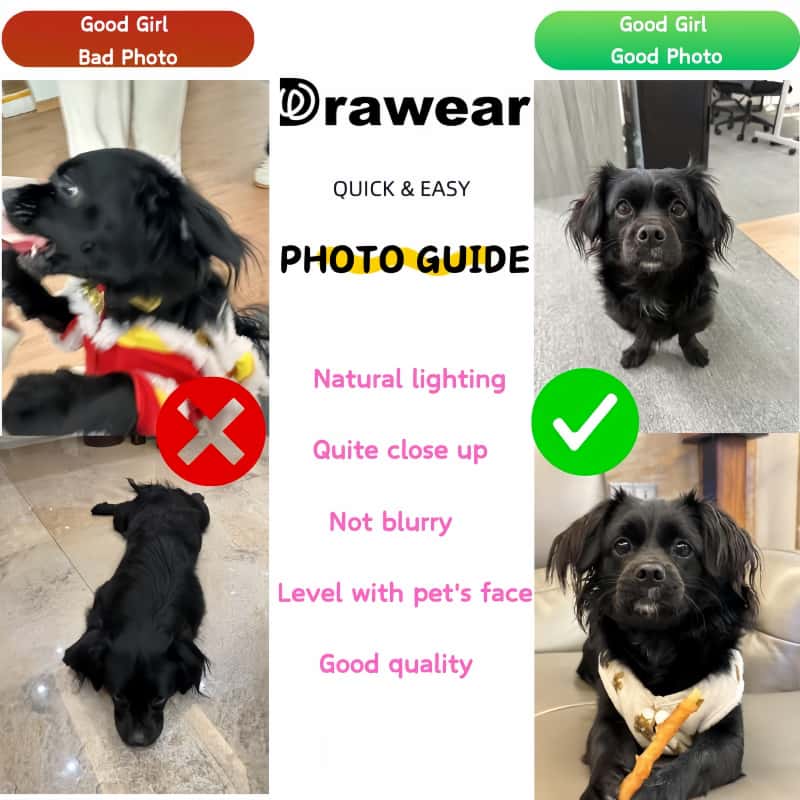 Drawear - 100% Hand - Painted Pet Portraits Oil Painting