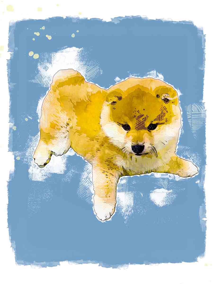 Drawear - Digital Pets - Port: Hand - Drawn Watercolor Comic Style Pet Portraits