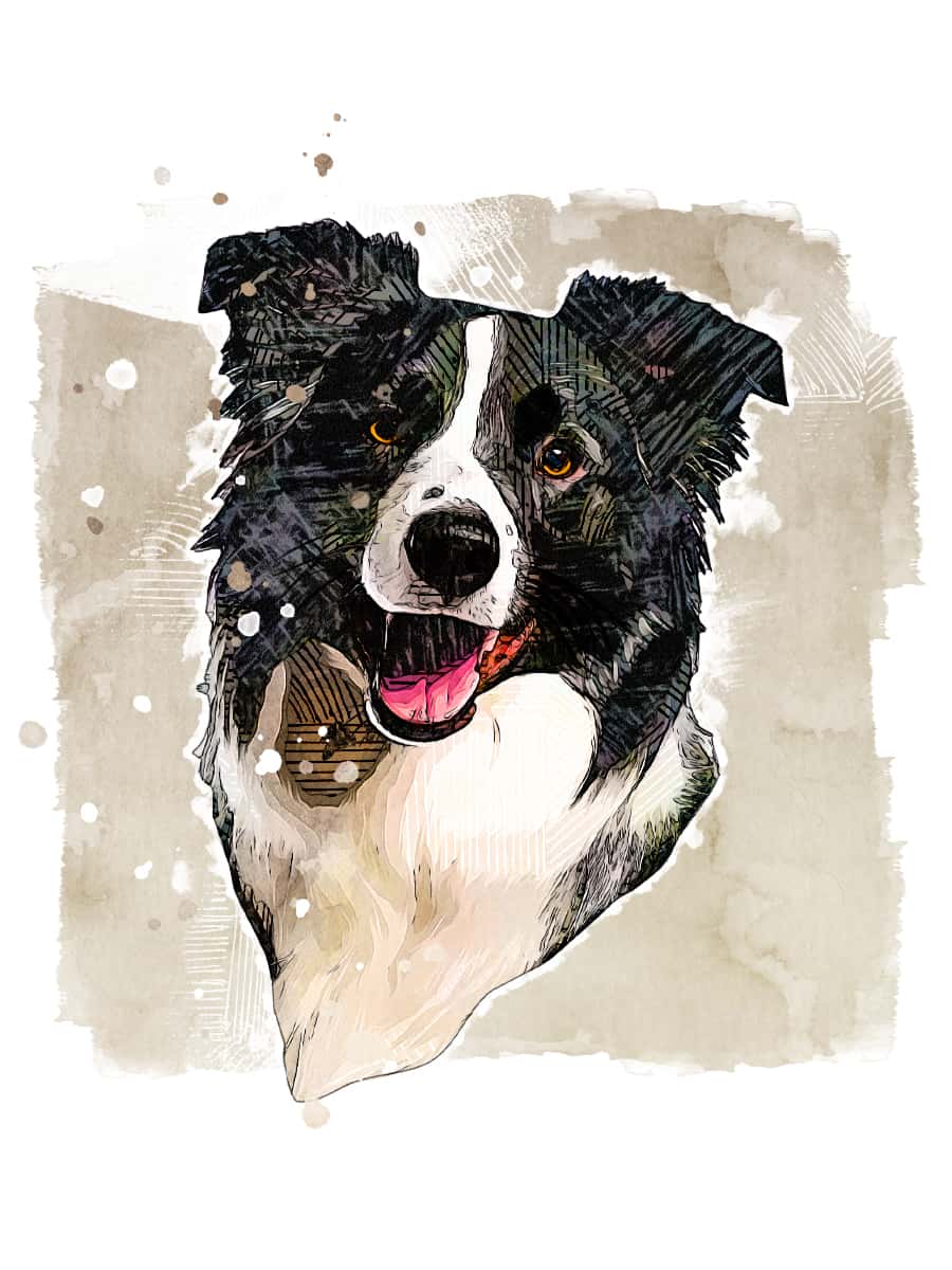 Drawear - Digital Pets - Port: Hand - Drawn Watercolor Comic Style Pet Portraits