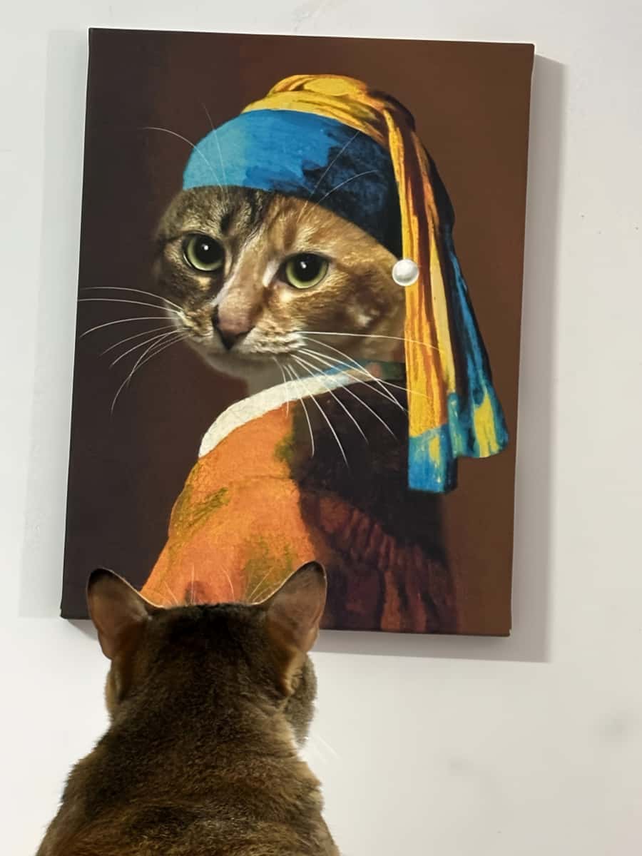 A pet-themed parody of Vermeer’s Girl with a Pearl Earring,wears a blue headscarf and a large pearl earring with cat face.