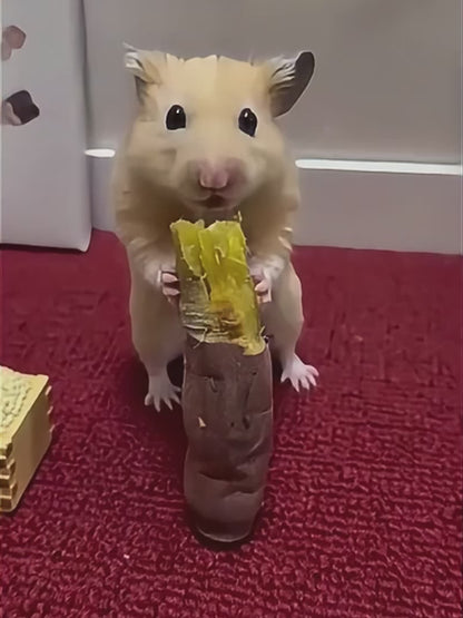 ReDraw Design Round Neck T-Shirt M081 Hamster Yummy