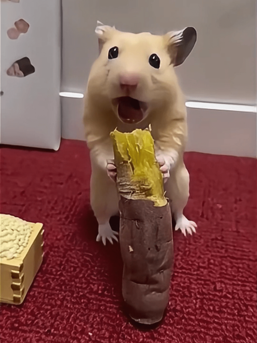 Drawear - Redraw pictures to a wearable Art T-Shirt (Hamster: Yummy)